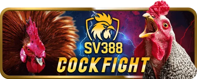 Biểu tượng bảo mật và uy tín rm88 win